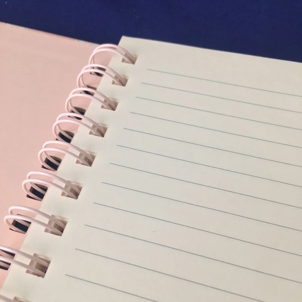 Pretty Swan and Bows Spiral Notebook
